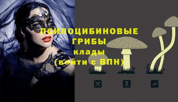 трава Коряжма