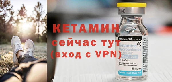 трава Коряжма