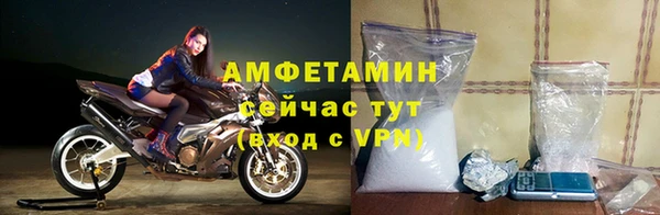 трава Коряжма