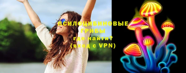 трава Коряжма