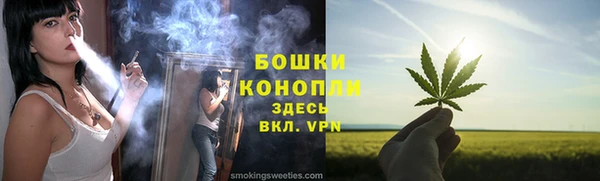 сатива Корсаков