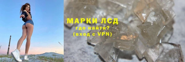 трава Коряжма