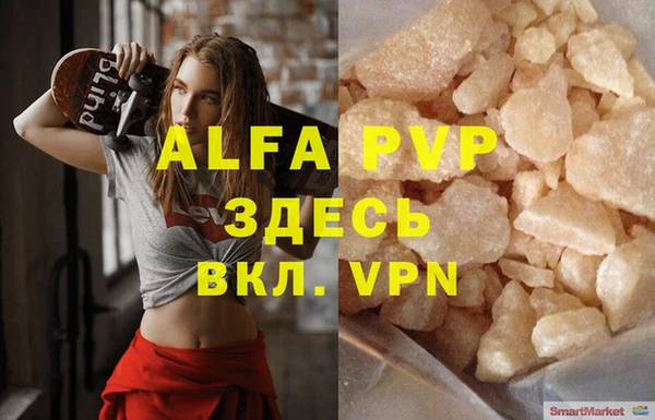 сатива Корсаков