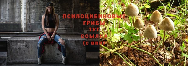 трава Коряжма