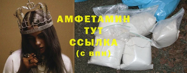 трава Коряжма