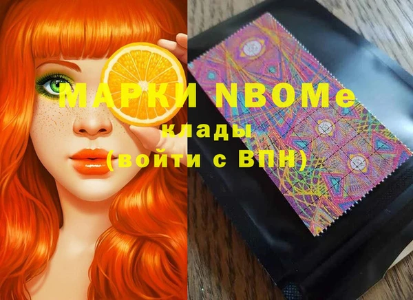 трава Коряжма