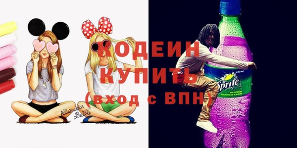 сатива Корсаков