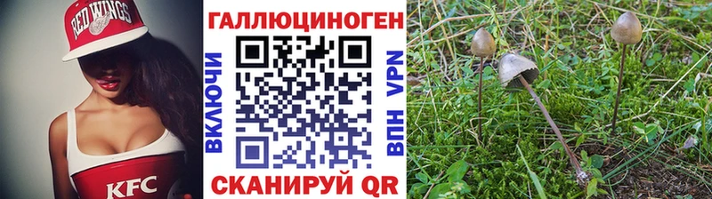 Купить закладки  Новопавловск  Галлюциногенные грибы Magic Shrooms 